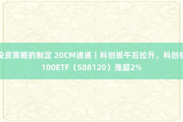 投资策略的制定 20CM速递丨科创板午后拉升，科创板100ETF（588120）涨超2%