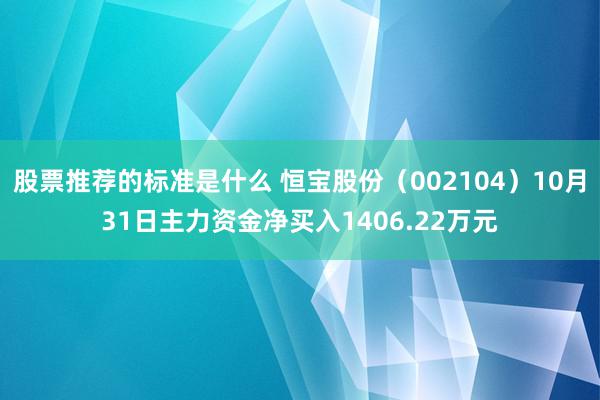 股票推荐的标准是什么 恒宝股份（002104）10月31日主力资金净买入1406.22万元