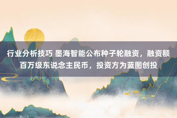 行业分析技巧 墨海智能公布种子轮融资，融资额百万级东说念主民币，投资方为蓝图创投