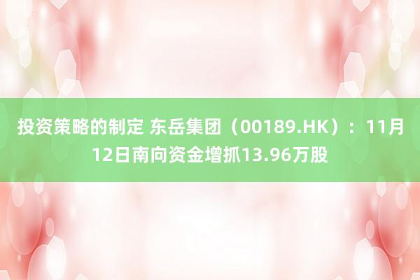 投资策略的制定 东岳集团（00189.HK）：11月12日南向资金增抓13.96万股