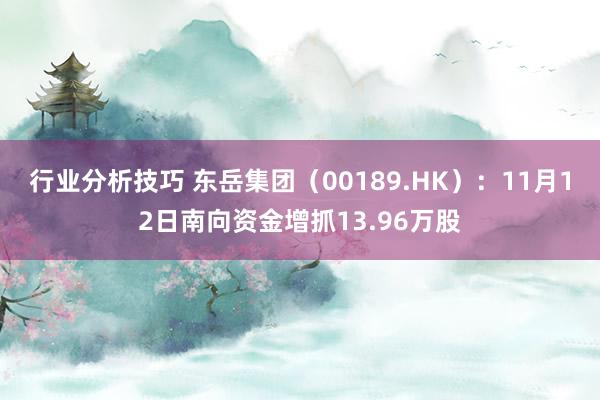 行业分析技巧 东岳集团（00189.HK）：11月12日南向资金增抓13.96万股