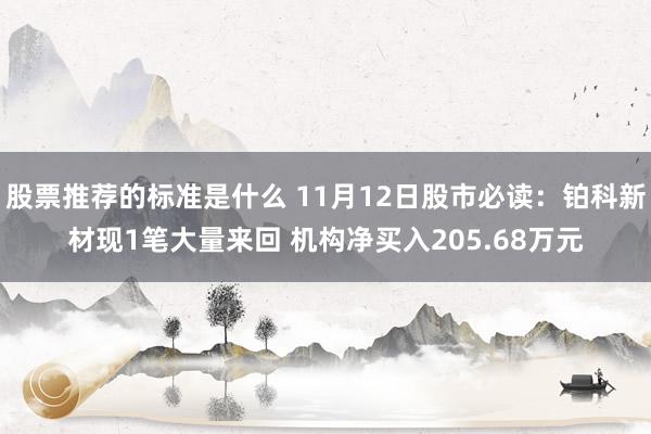 股票推荐的标准是什么 11月12日股市必读：铂科新材现1笔大量来回 机构净买入205.68万元