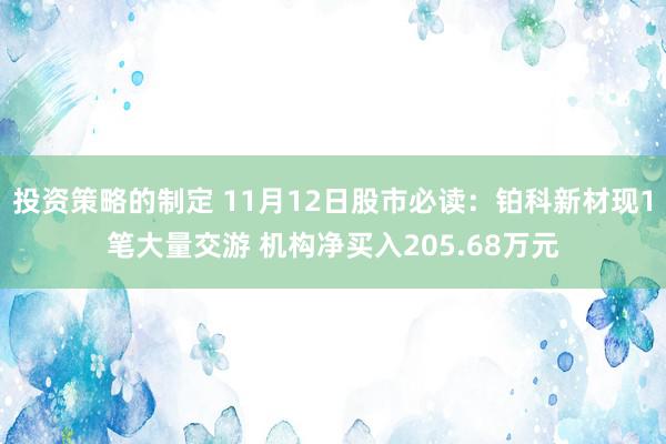 投资策略的制定 11月12日股市必读：铂科新材现1笔大量交游 机构净买入205.68万元