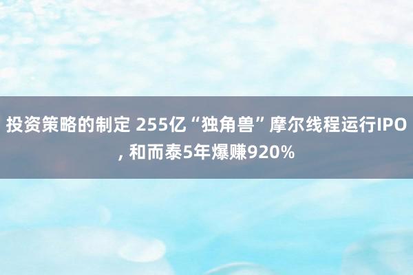 投资策略的制定 255亿“独角兽”摩尔线程运行IPO, 和而泰5年爆赚920%