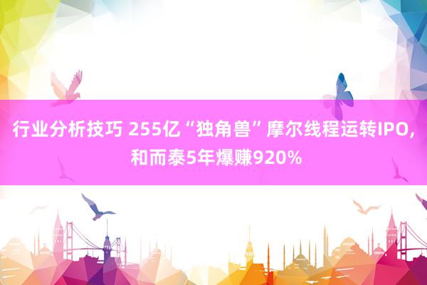 行业分析技巧 255亿“独角兽”摩尔线程运转IPO, 和而泰5年爆赚920%