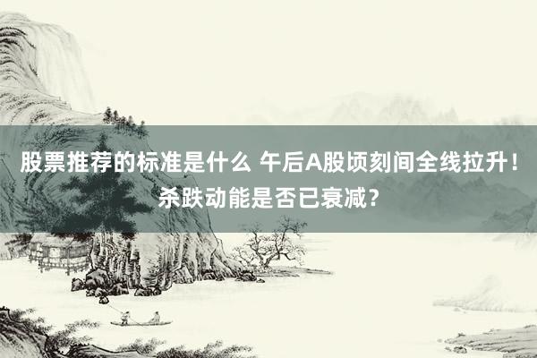 股票推荐的标准是什么 午后A股顷刻间全线拉升！杀跌动能是否已衰减？