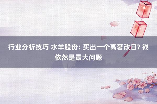 行业分析技巧 水羊股份: 买出一个高奢改日? 钱依然是最大问题