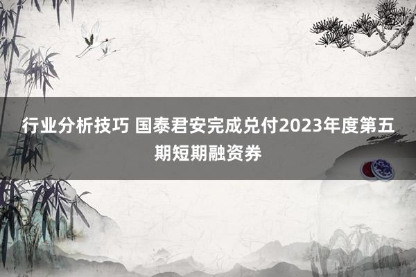 行业分析技巧 国泰君安完成兑付2023年度第五期短期融资券