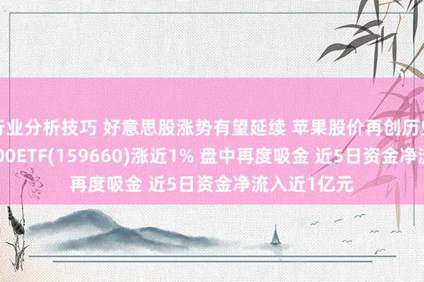 行业分析技巧 好意思股涨势有望延续 苹果股价再创历史新高 纳指100ETF(159660)涨近1% 盘中再度吸金 近5日资金净流入近1亿元