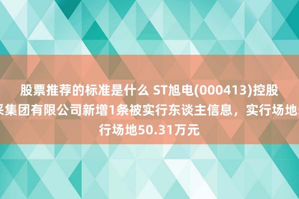 股票推荐的标准是什么 ST旭电(000413)控股的东旭开采集团有限公司新增1条被实行东谈主信息，实行场地50.31万元