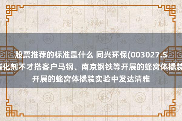 股票推荐的标准是什么 同兴环保(003027.SZ)：第五代CO催化剂不才搭客户马钢、南京钢铁等开展的蜂窝体撬装实验中发达清雅