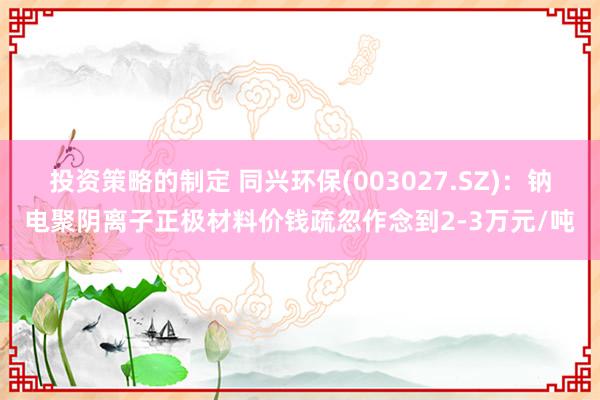 投资策略的制定 同兴环保(003027.SZ)：钠电聚阴离子正极材料价钱疏忽作念到2-3万元/吨