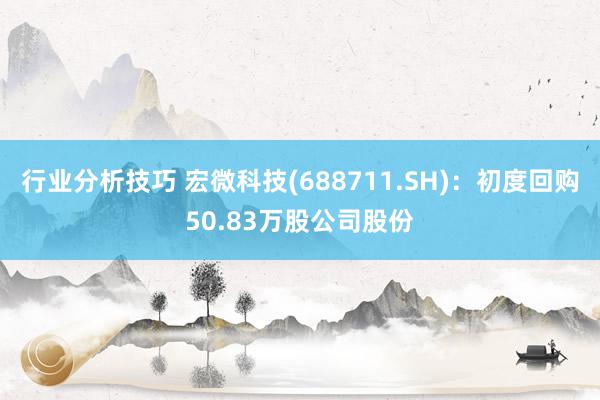 行业分析技巧 宏微科技(688711.SH)：初度回购50.83万股公司股份