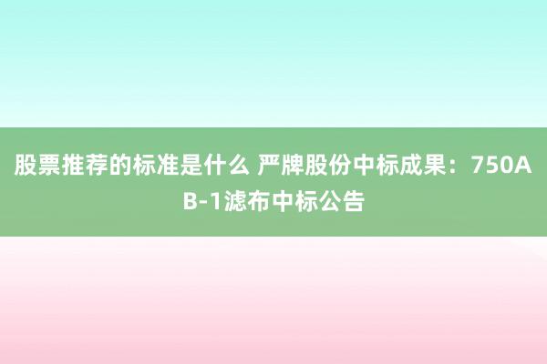 股票推荐的标准是什么 严牌股份中标成果：750AB-1滤布中标公告