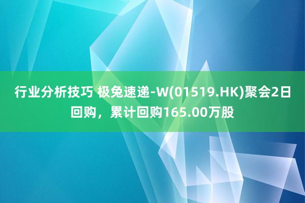 行业分析技巧 极兔速递-W(01519.HK)聚会2日回购，累计回购165.00万股