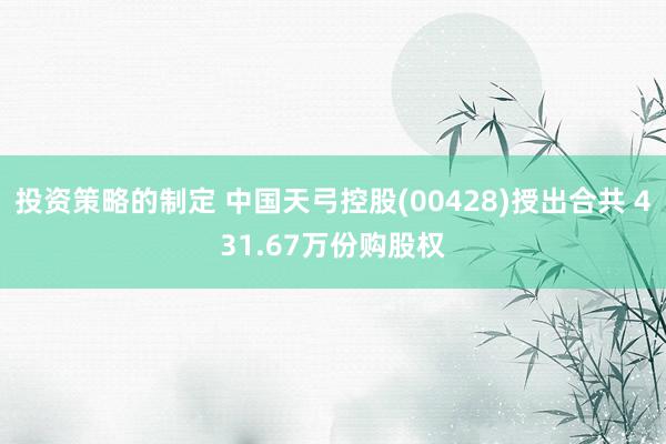 投资策略的制定 中国天弓控股(00428)授出合共 431.67万份购股权