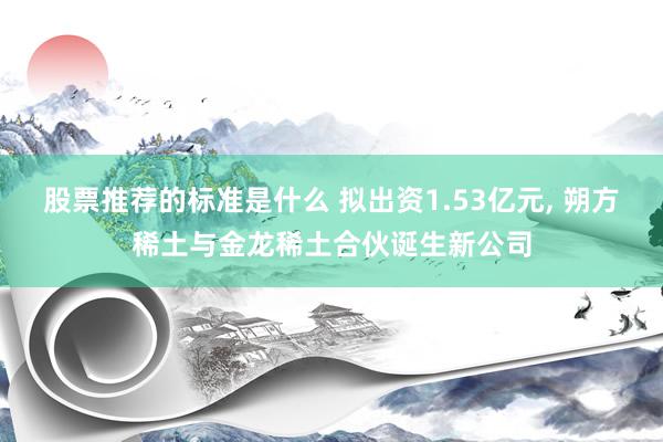 股票推荐的标准是什么 拟出资1.53亿元, 朔方稀土与金龙稀土合伙诞生新公司