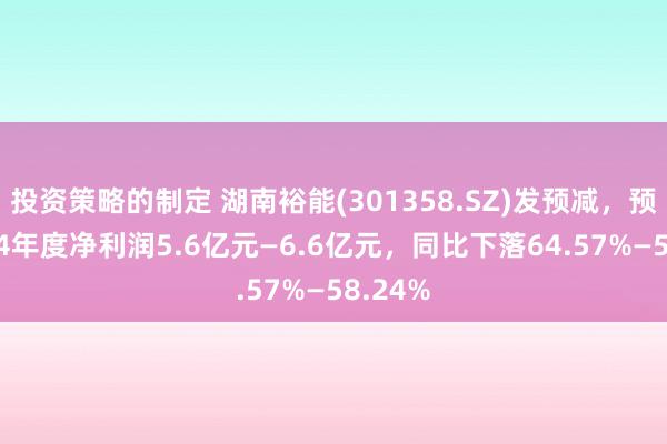 投资策略的制定 湖南裕能(301358.SZ)发预减，预测2024年度净利润5.6亿元—6.6亿元，同比下落64.57%—58.24%