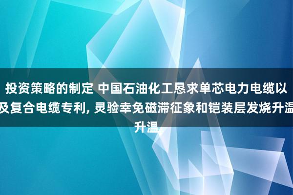 投资策略的制定 中国石油化工恳求单芯电力电缆以及复合电缆专利, 灵验幸免磁滞征象和铠装层发烧升温