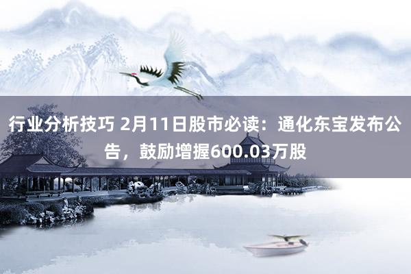 行业分析技巧 2月11日股市必读：通化东宝发布公告，鼓励增握600.03万股