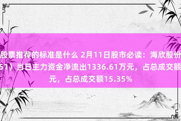 股票推荐的标准是什么 2月11日股市必读：海欣股份（600851）当日主力资金净流出1336.61万元，占总成交额15.35%