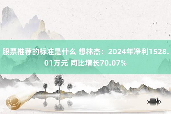 股票推荐的标准是什么 想林杰：2024年净利1528.01万元 同比增长70.07%