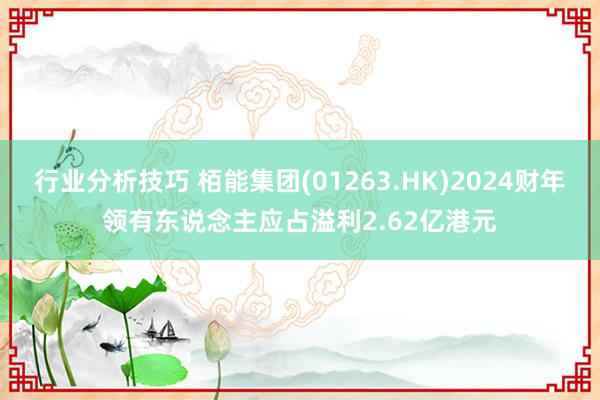 行业分析技巧 栢能集团(01263.HK)2024财年领有东说念主应占溢利2.62亿港元