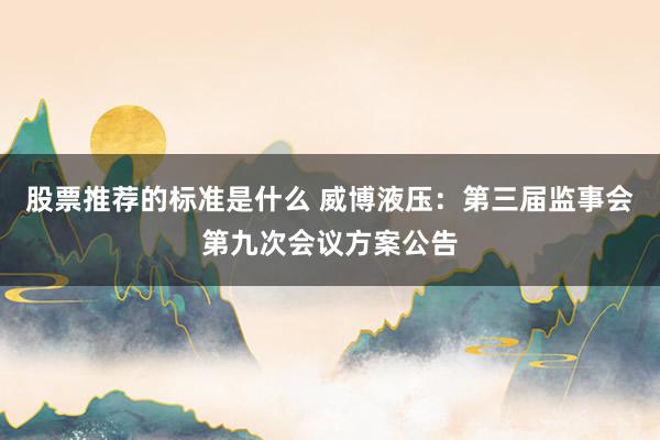 股票推荐的标准是什么 威博液压：第三届监事会第九次会议方案公告