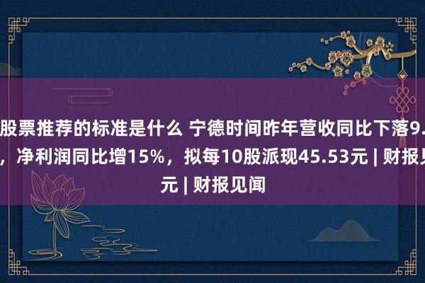 股票推荐的标准是什么 宁德时间昨年营收同比下落9.7%，净利润同比增15%，拟每10股派现45.53元 | 财报见闻