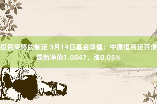 投资策略的制定 3月14日基金净值：中原恒利定开债最新净值1.0847，涨0.05%